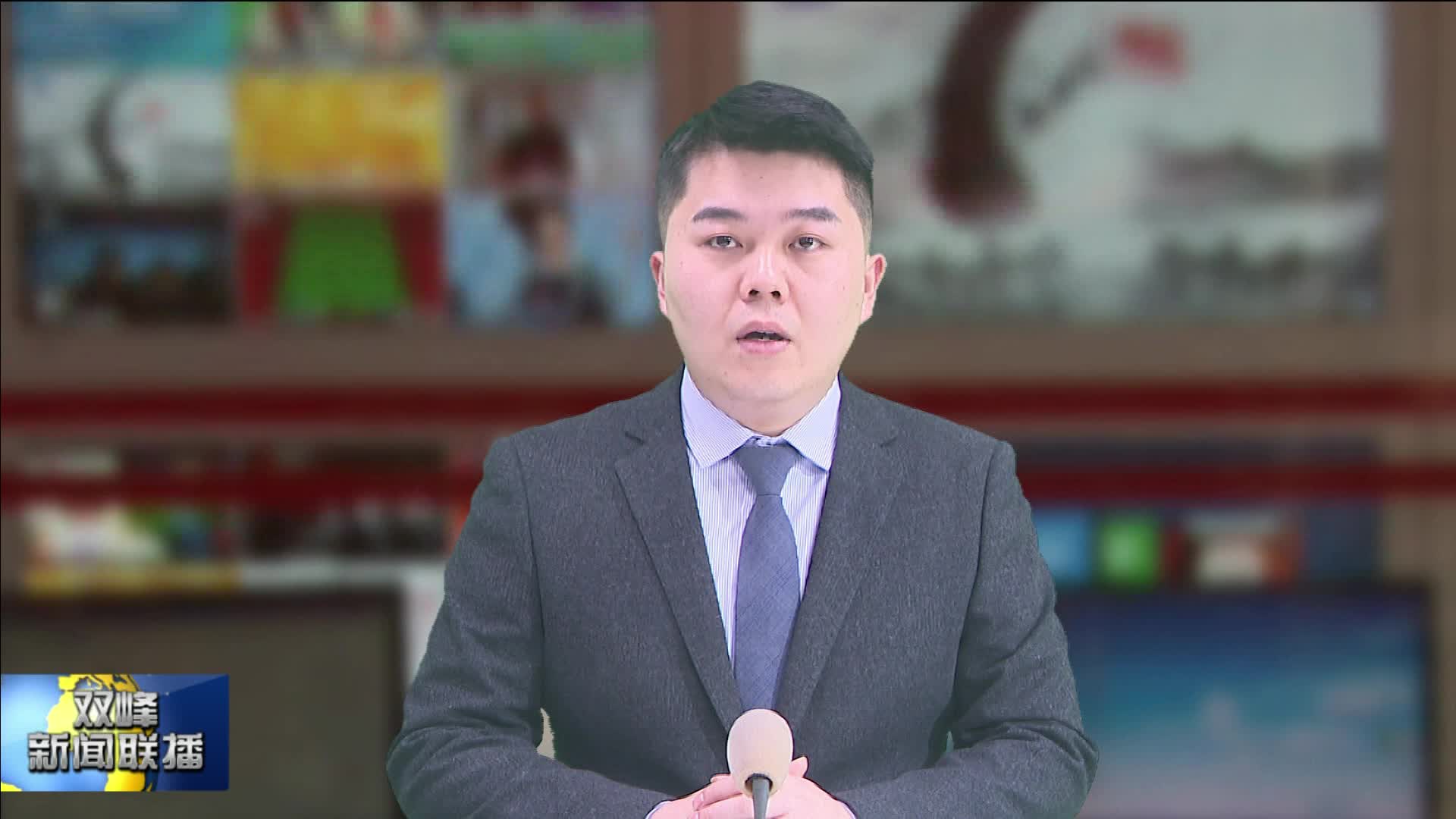 双峰籍烈士亲属赴沈阳抗美援朝烈士陵园祭奠先烈