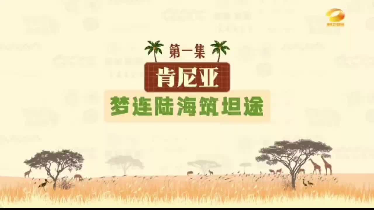 肯尼亚，被赤道横穿，和印度洋亲吻！数百年来，这片土地上丰饶的物产，通过非洲东海岸最大的港口——蒙巴萨港，走向了世界的各个角落。一批中国建设者正继续扎根肯尼亚，正在打通当地通往蒙巴萨港口的“最后一公里”。#第四届中国-非洲经贸博览会 #与非洲