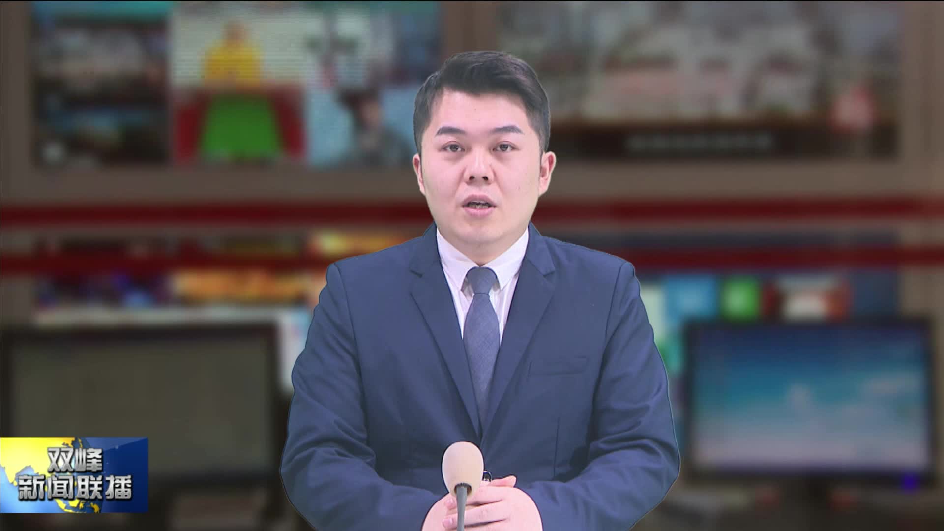 双峰县启动2025年度水库及堤防白蚁综合治理项目