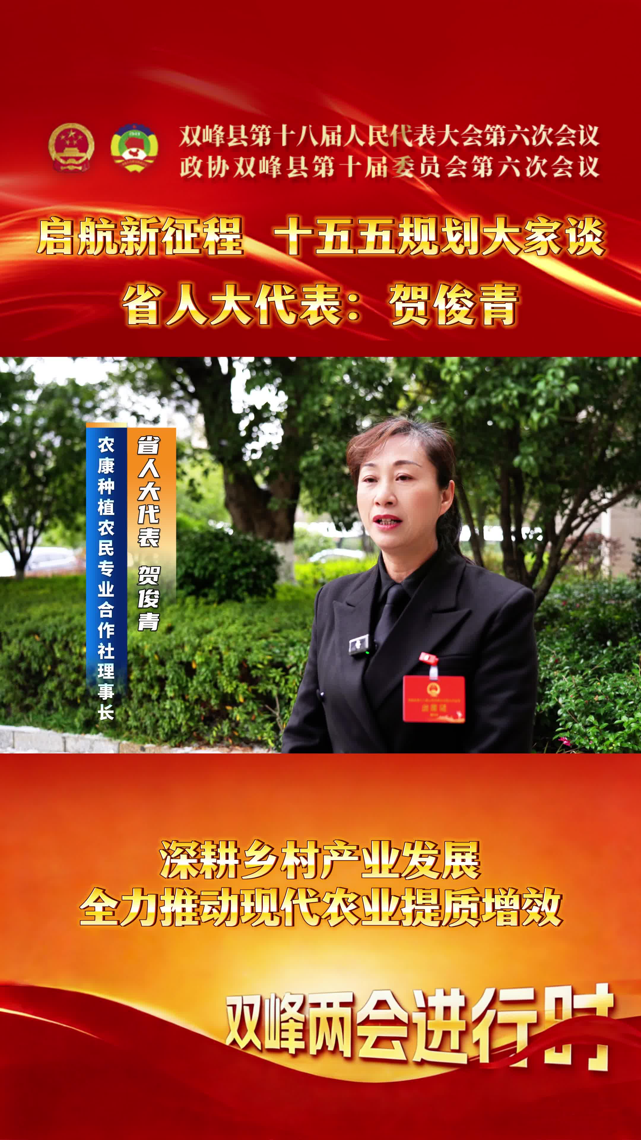 “十五五”规划大家谈（三）省人大代表 农康种植农民专业合作社理事长贺俊青：深耕乡村产业发展，全力推动现代农业提质增效