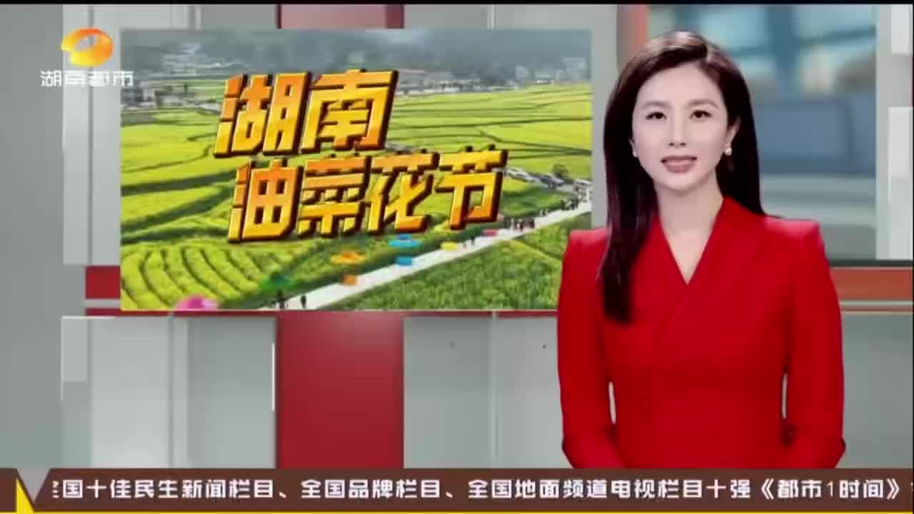 “油菜花儿开 三湘等您来”2026湖南油菜花节暨娄底双峰第十五届油菜花文旅推广（体验）月活动盛大开幕