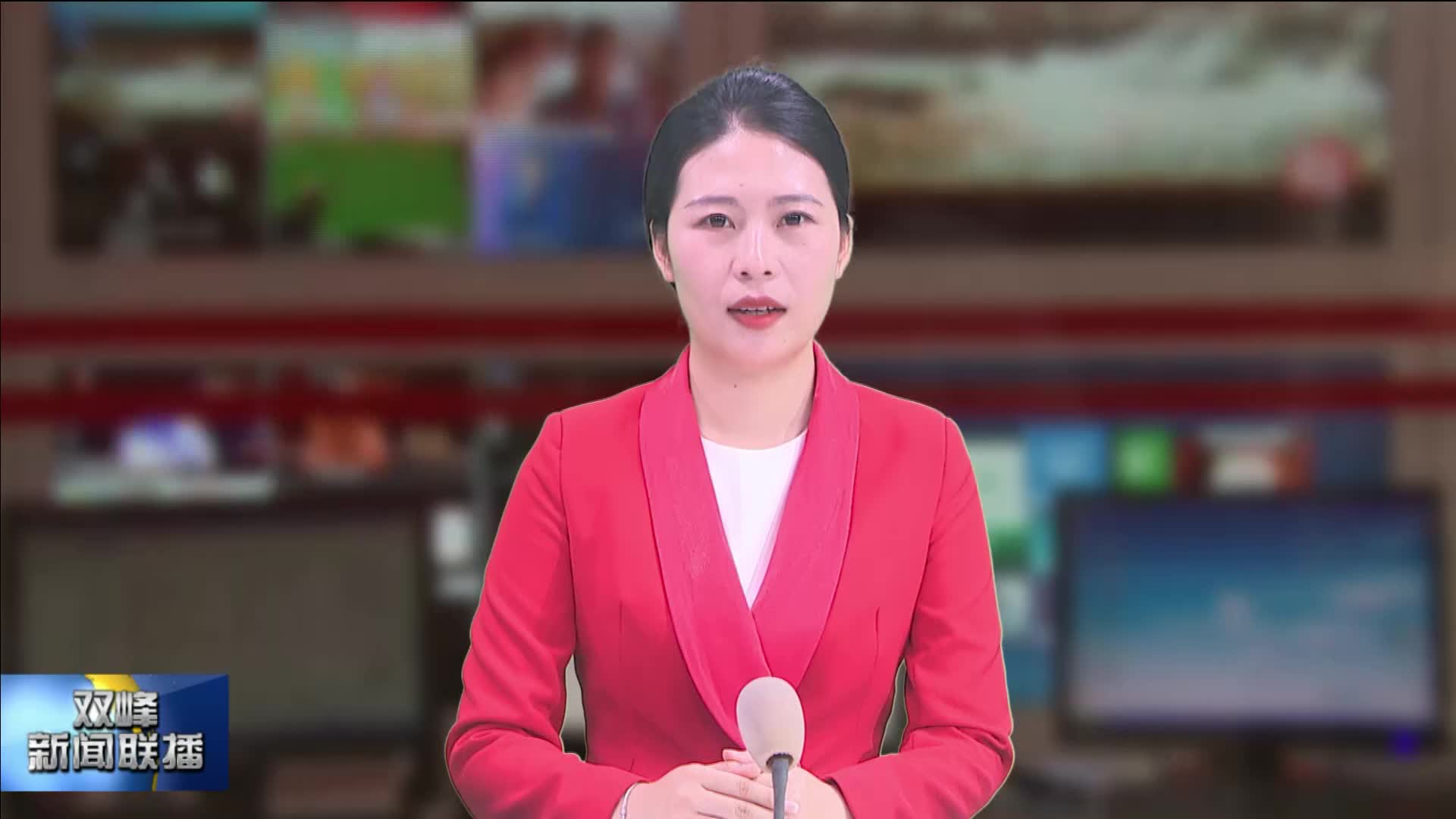 聚焦党代会 | 中共双峰县第十四届委员会举行第一次全体会议
