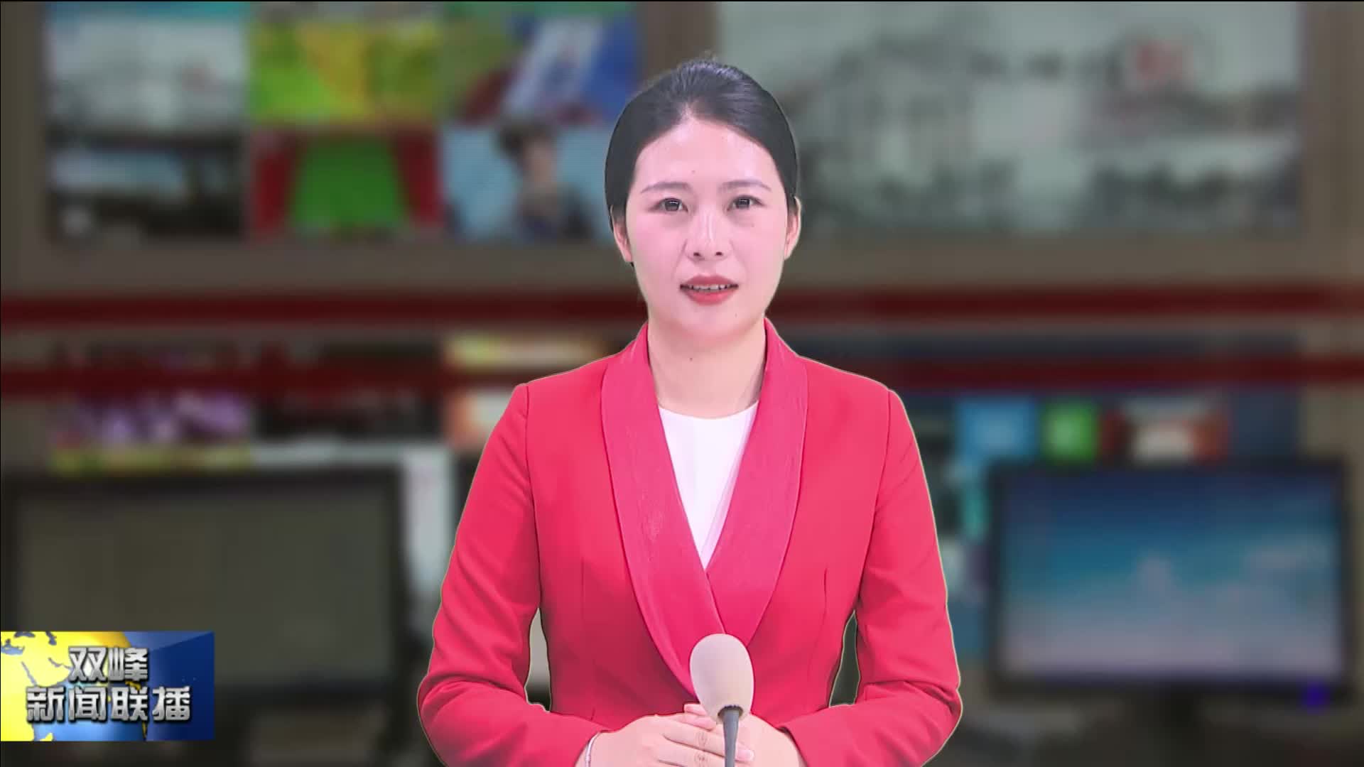 聚焦党代会 | 中共双峰县第十四届纪律检查委员会举行第一次全体会议
